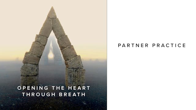 Practice - Opening The Heart Through ...