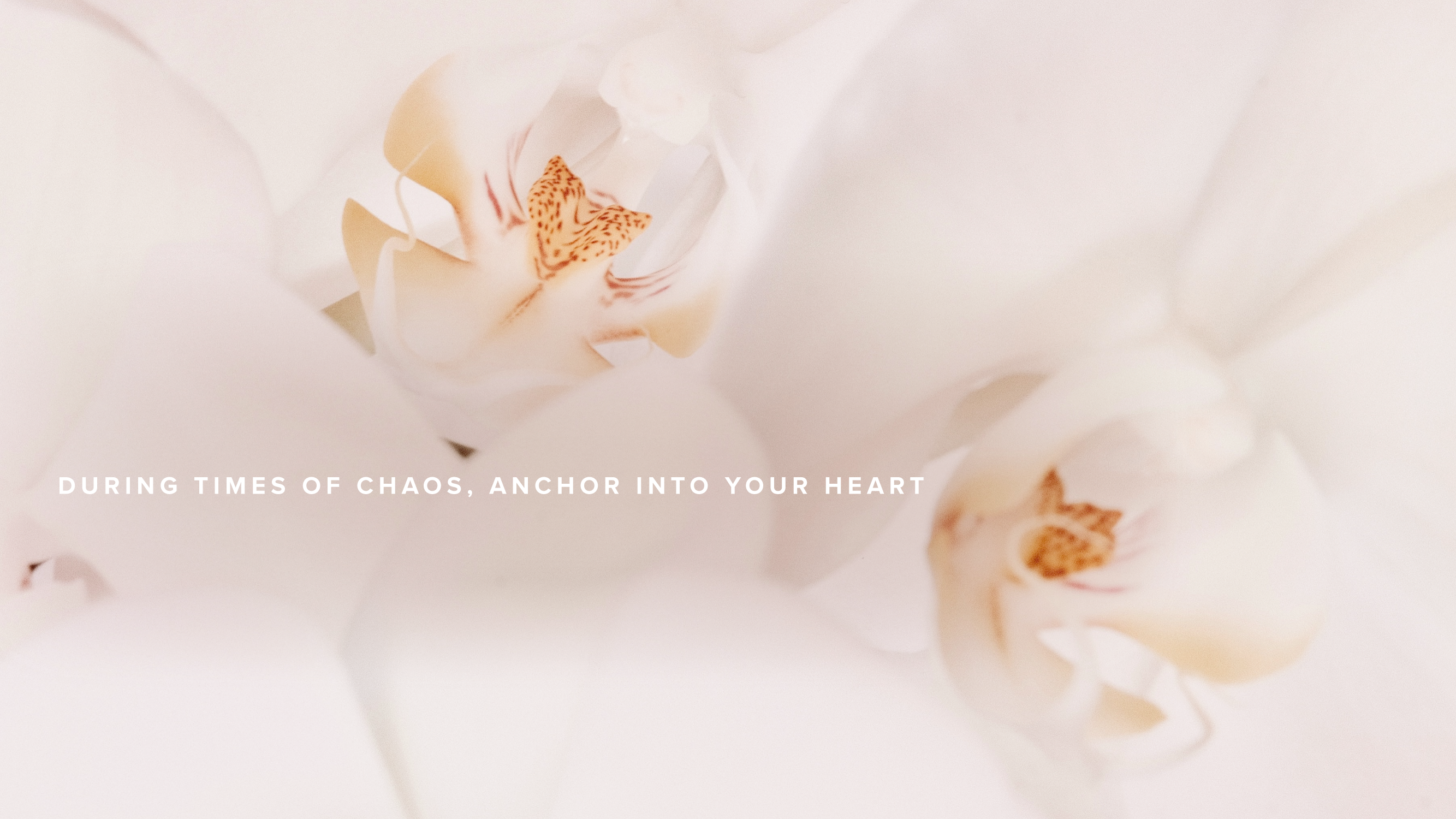 During Times of Chaos, Anchor Into Your Heart