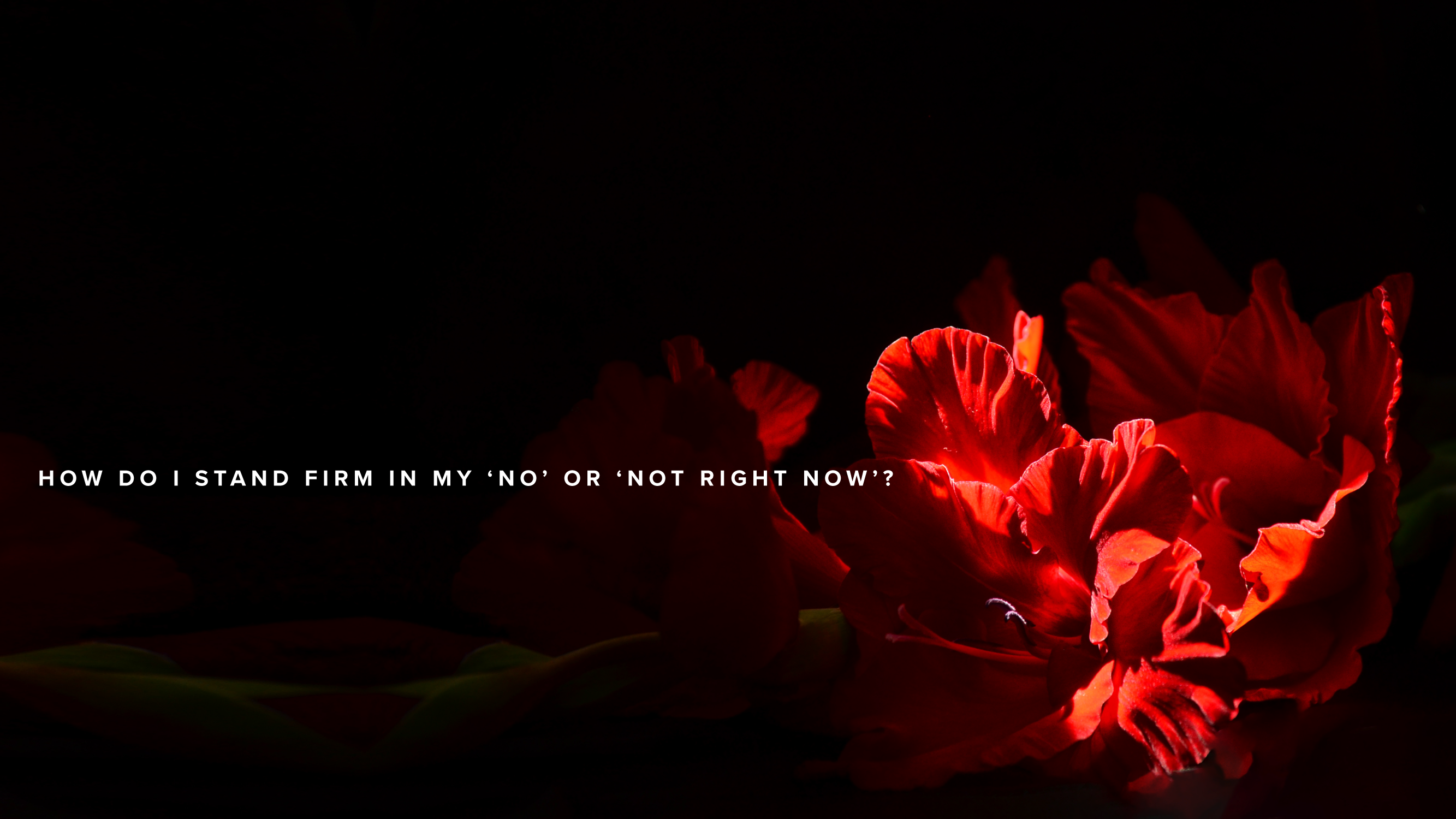 How do I stand firm in my ‘no’ or ‘not right now’?