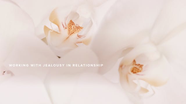 Working with Jealousy in Relationship