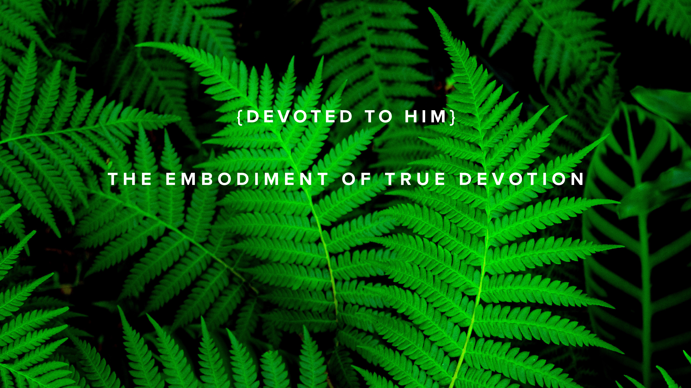 Devoted to Him