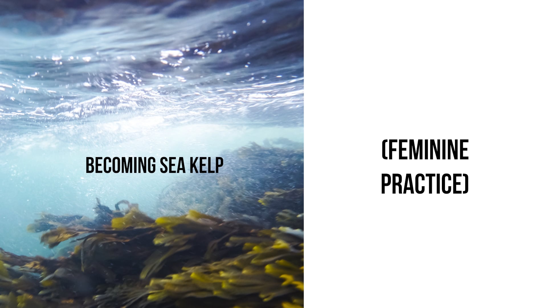 Practice - Becoming Sea Kelp