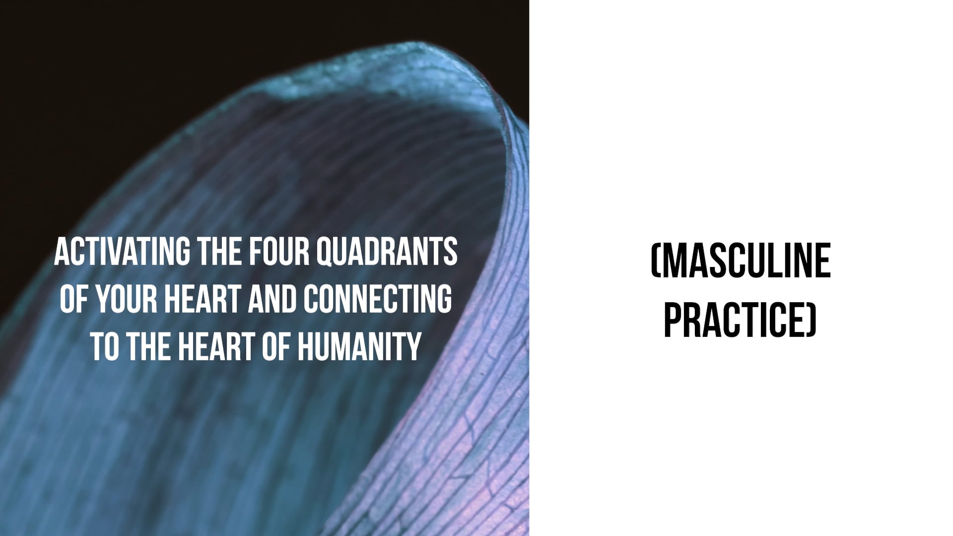 Activating the Four Quadrants of Your Heart &Connecting to the Heart of Humanity