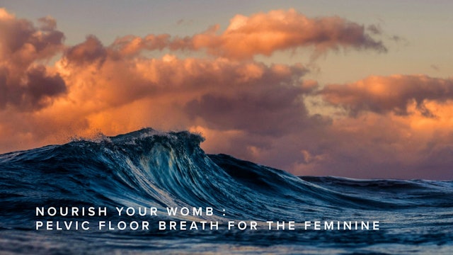 Nourish Your Womb : Pelvic Floor Breath for the Feminine