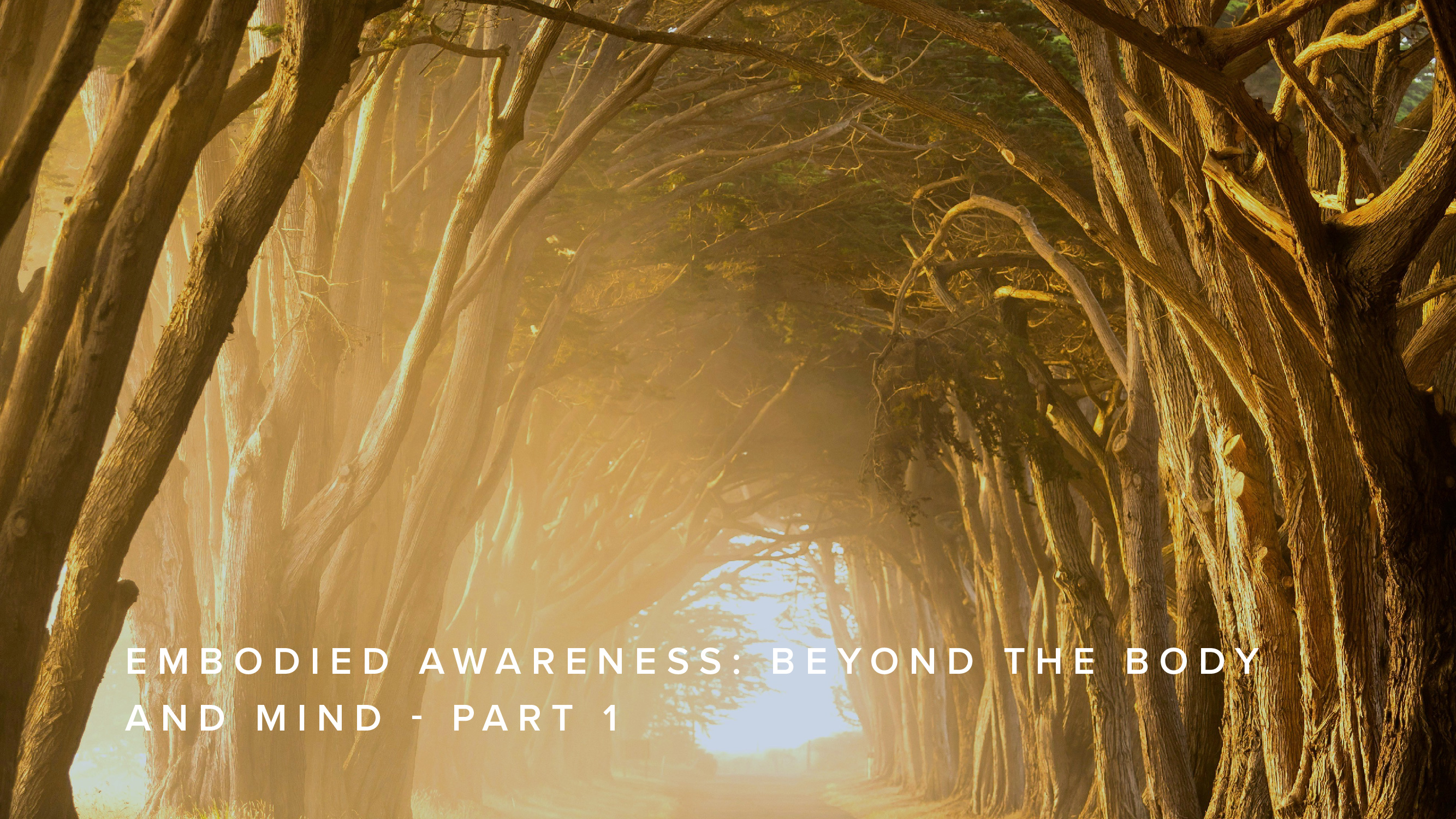 Teaching - Embodied Awareness: Beyond the Body and Mind