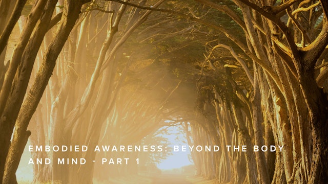 Embodied Awareness: Beyond the Body and Mind - Part 1