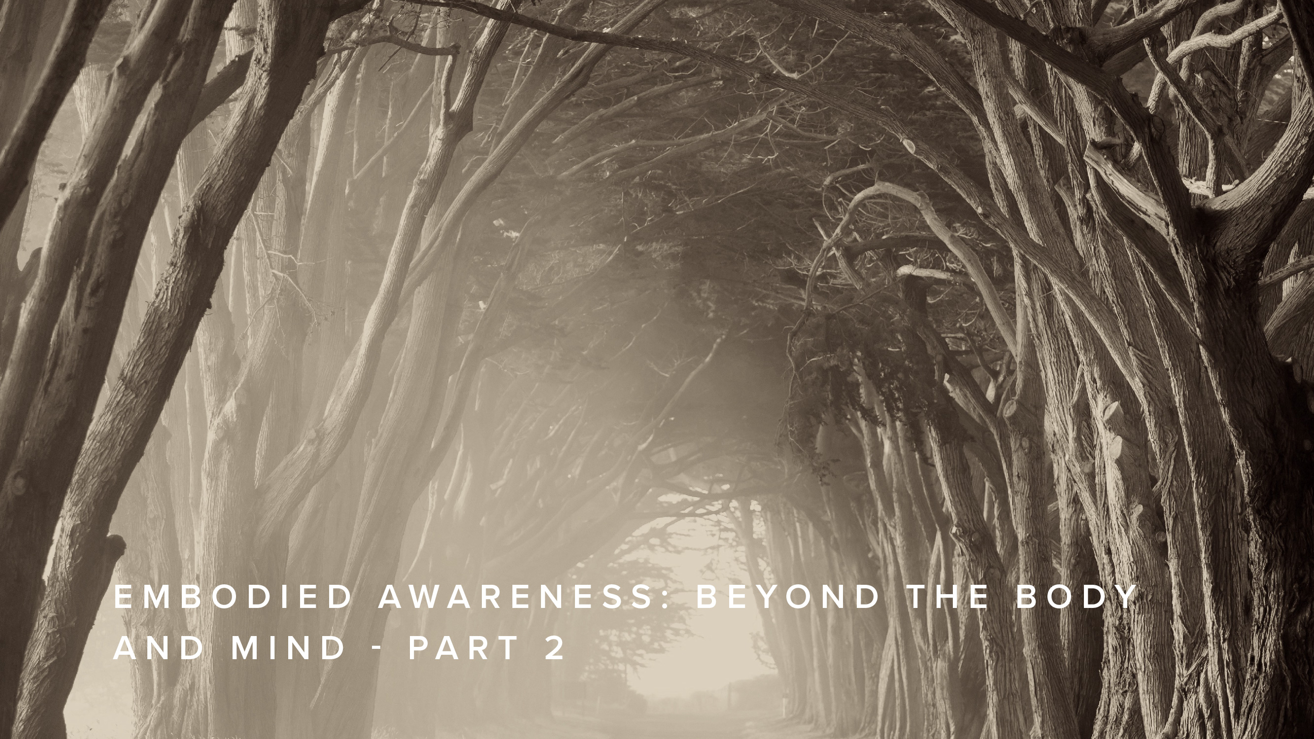 Teaching - Embodied Awareness: Beyond the Body and Mind