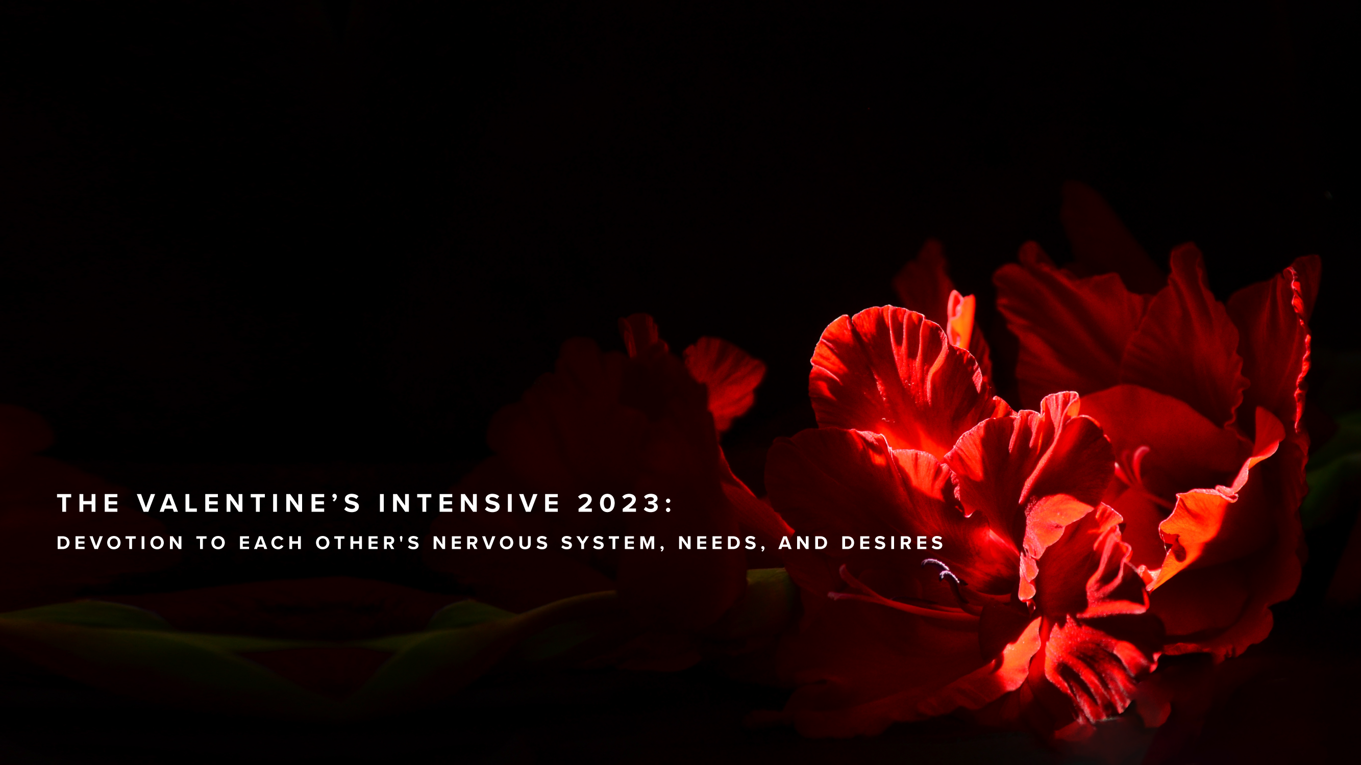 The Valentine's Intensive 2023