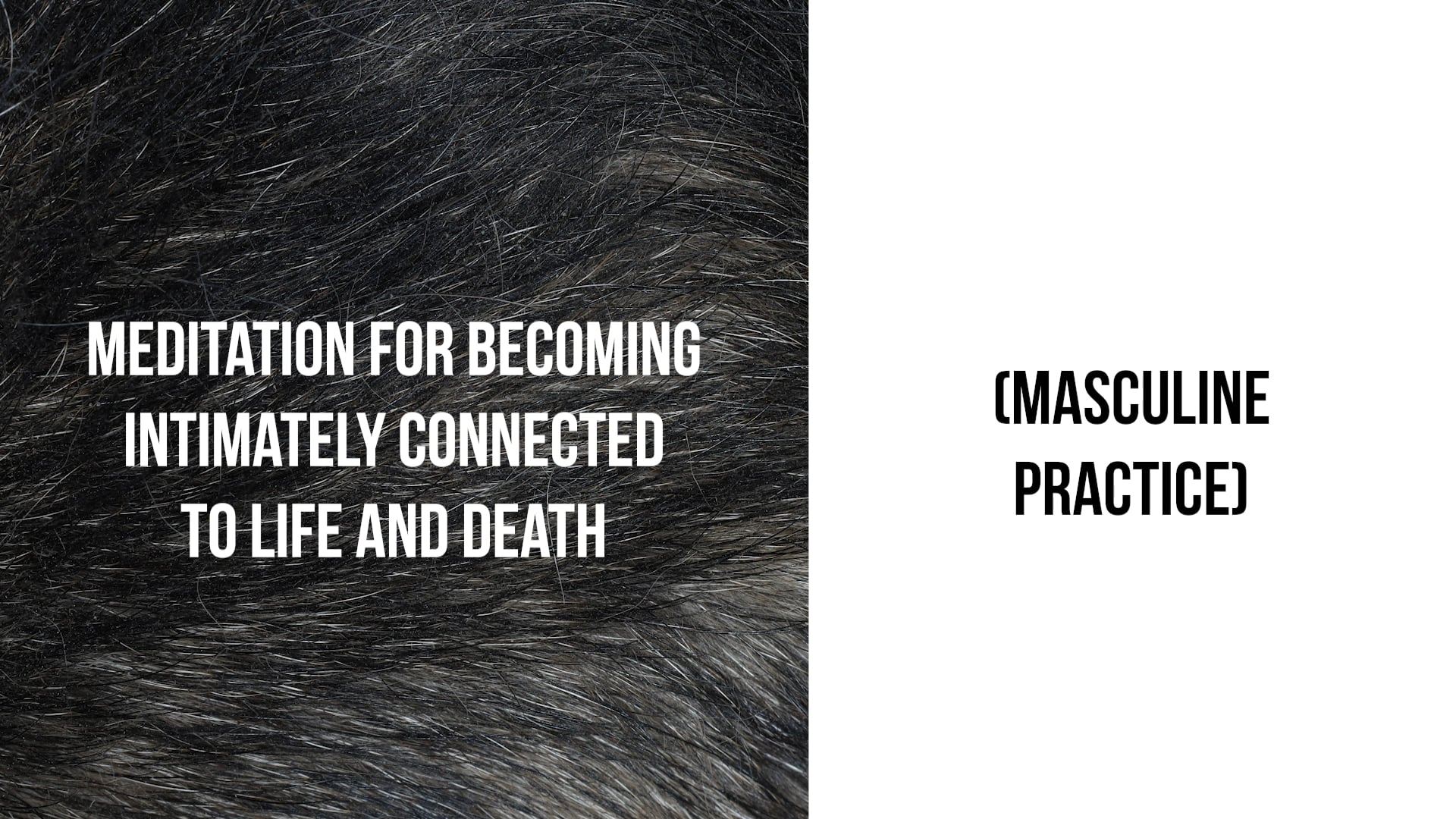 Meditation for Becoming Intimately Connected to Life and Death