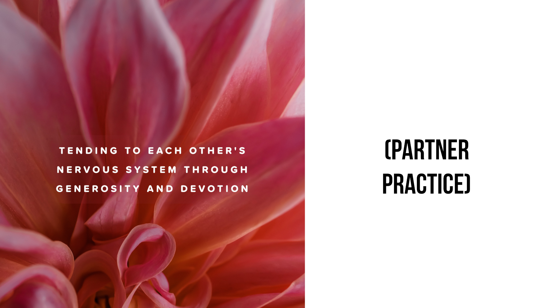 Tending to Each Other's Nervous System Through Generosity and Devotion