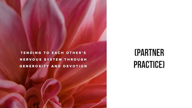 Tending to Each Other's Nervous Syste...