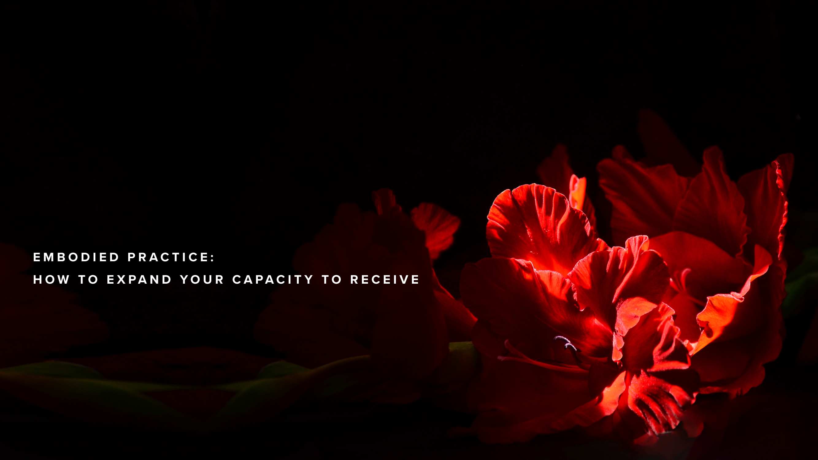 Embodied practice: how to expand your capacity to receive