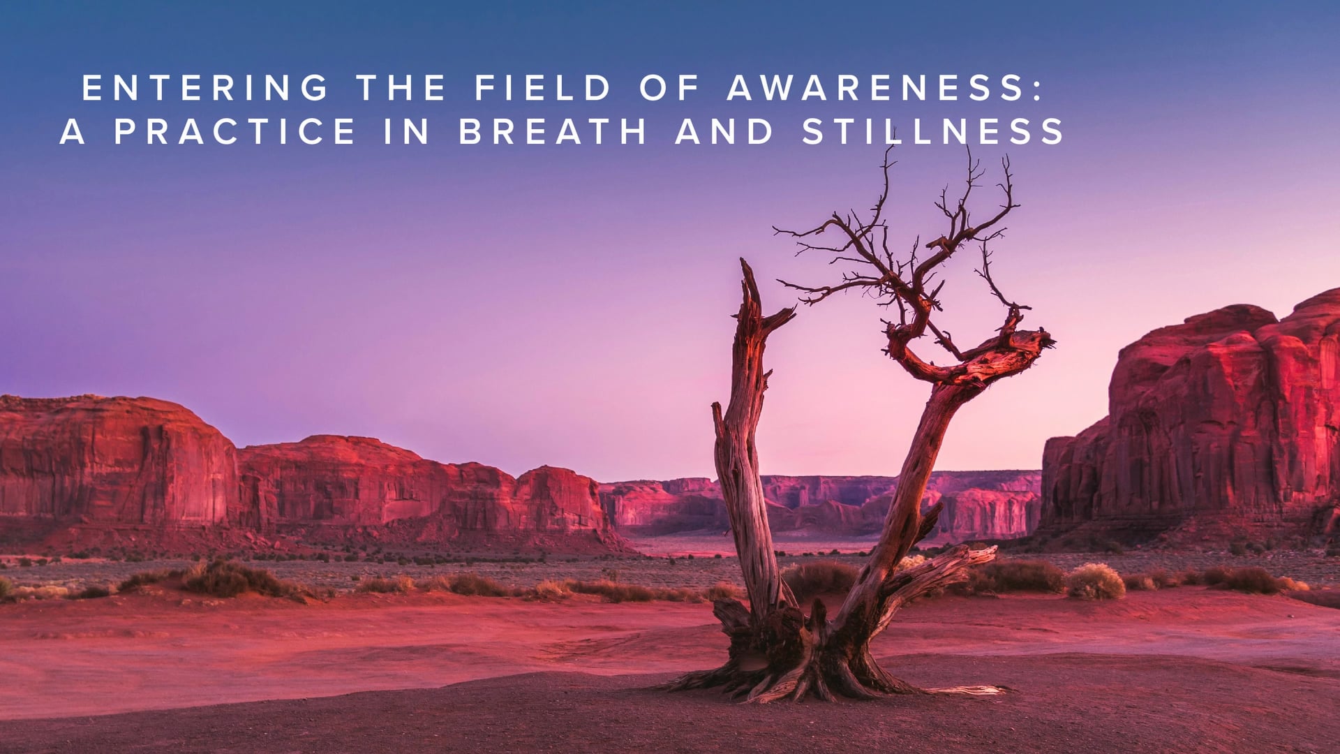 Practice - Entering the Field of Awareness A Practice in Breath and Stillness