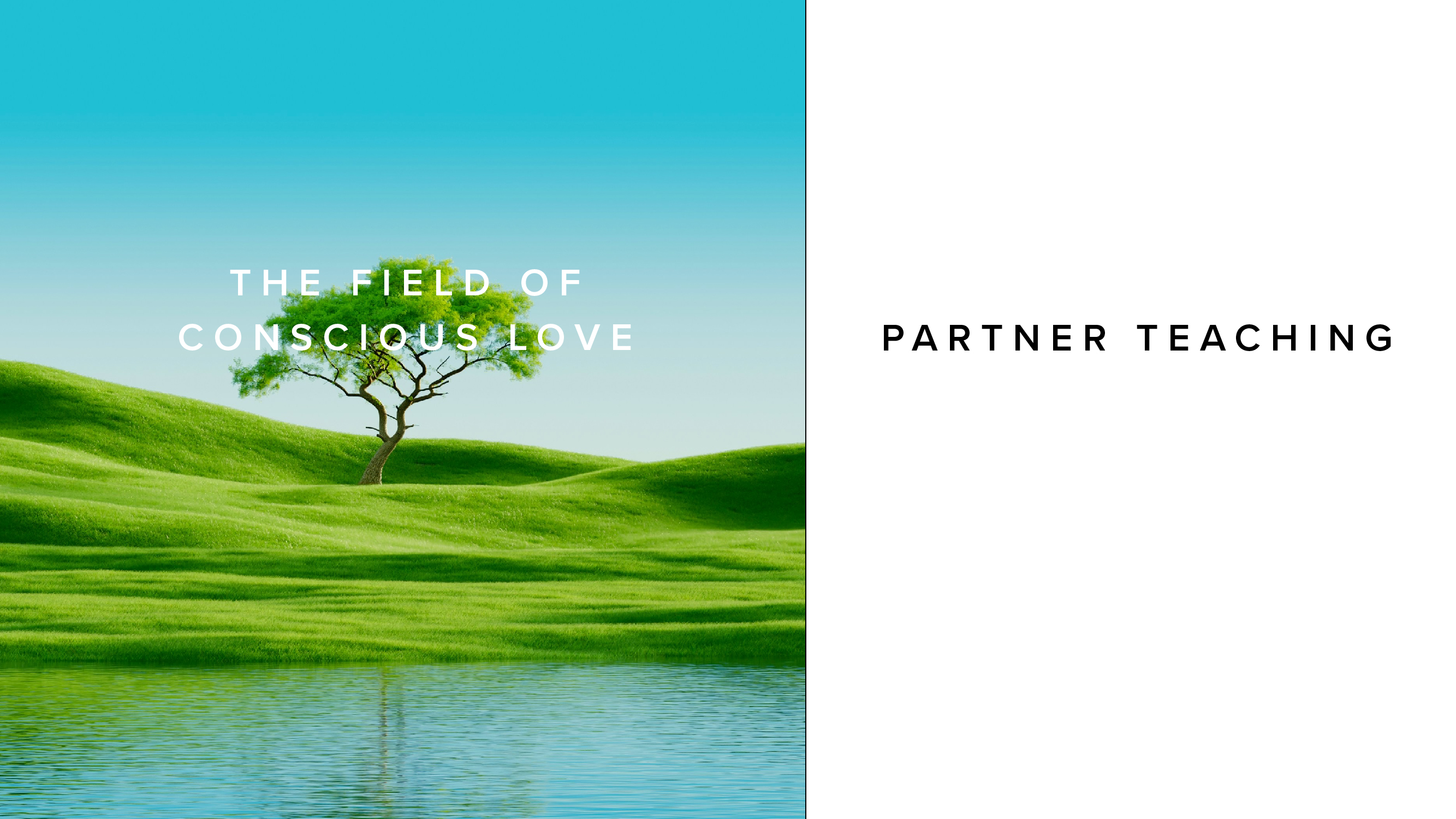 Teaching - The Field of Conscious Love