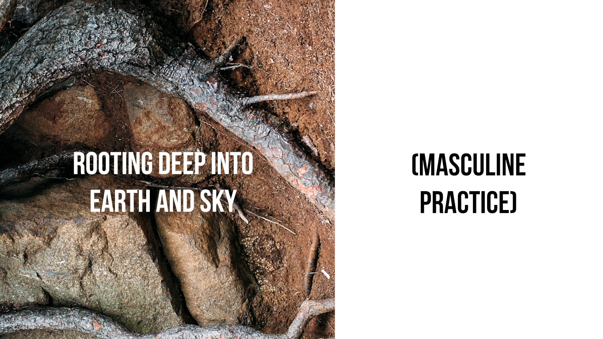 Rooting Deep Into Earth and Sky