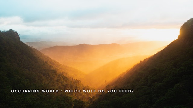Occurring World:  Which Wolf do you Feed?