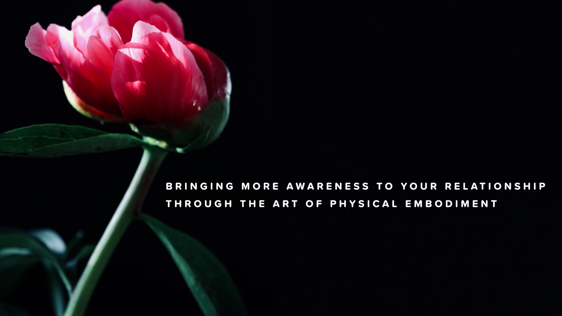 Bringing More Awareness to Your Relationship