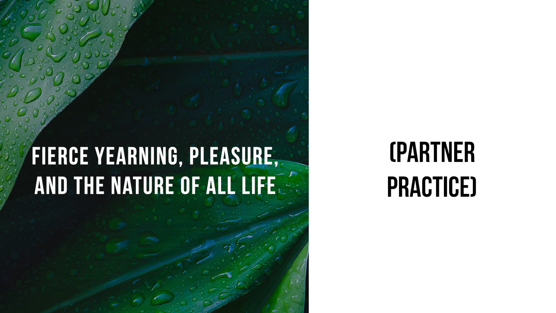 Fierce Yearning, Pleasure, and the Nature of all Life