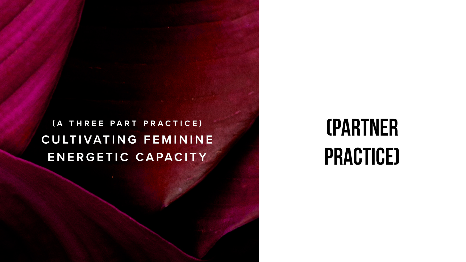{Partner Practice} Cultivating Feminine Energetic Capacity