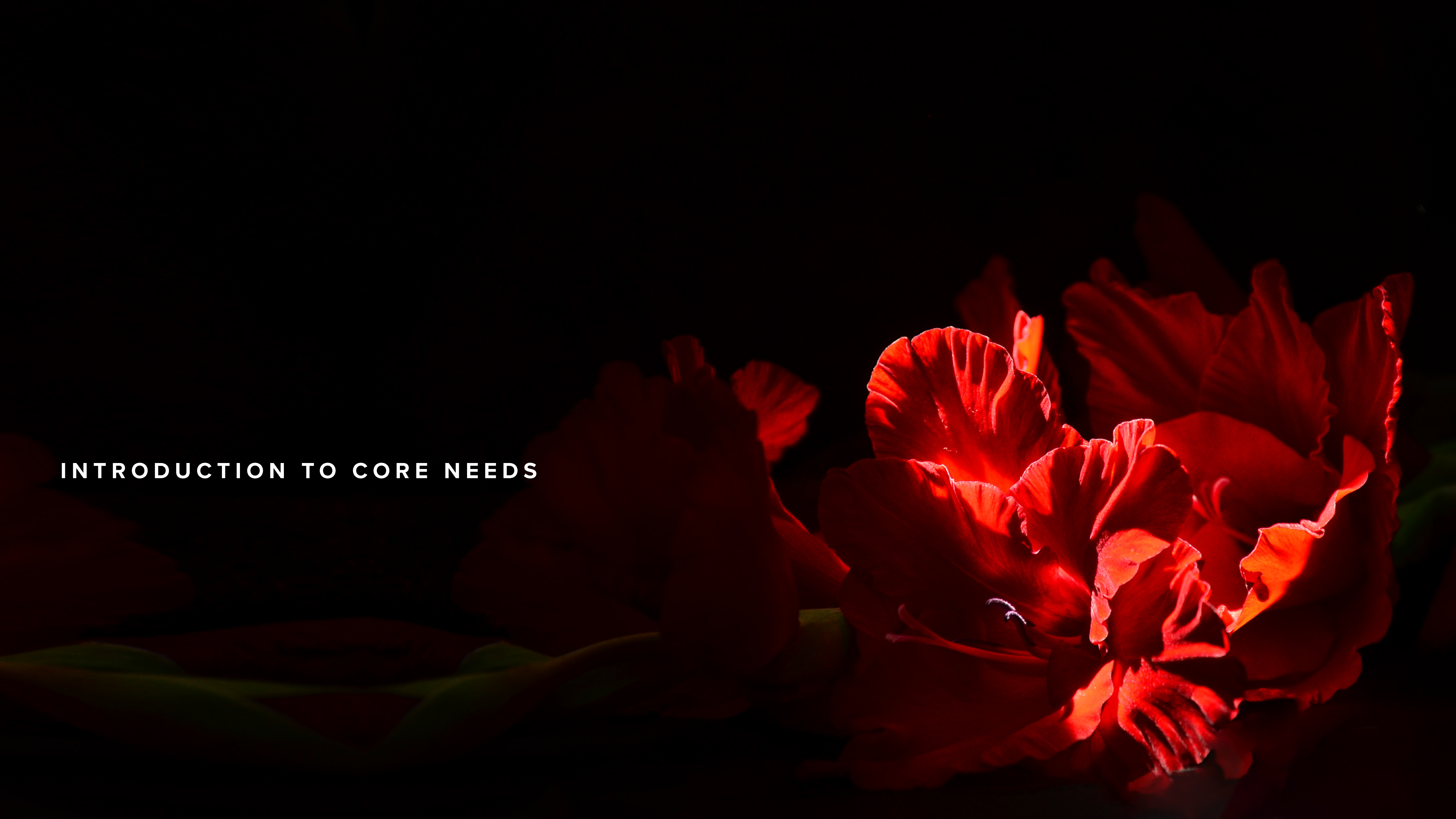 Discovering and Owning Your Core Needs