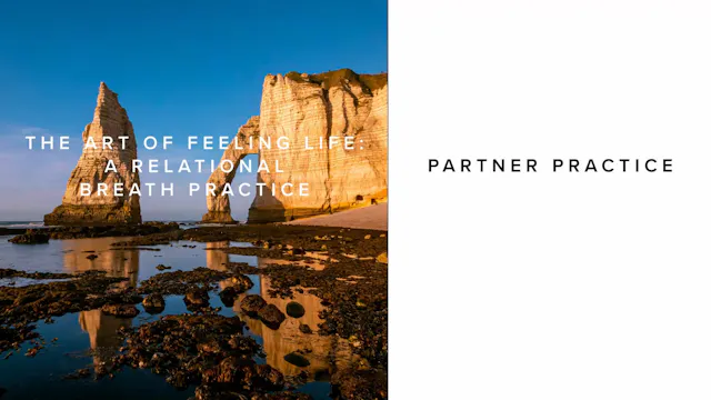 Practice - The Art of Feeling Life A ...
