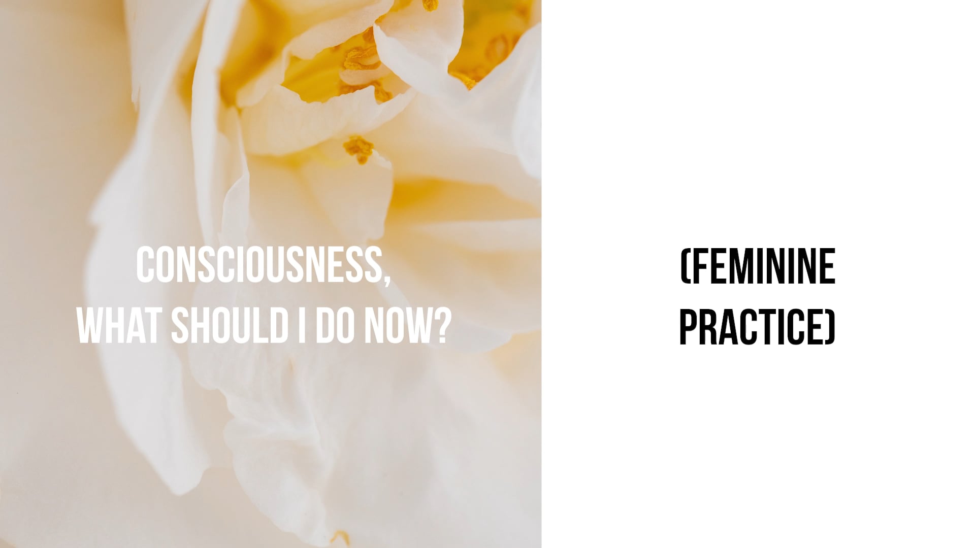 Consciousness, What Should I Do Now?