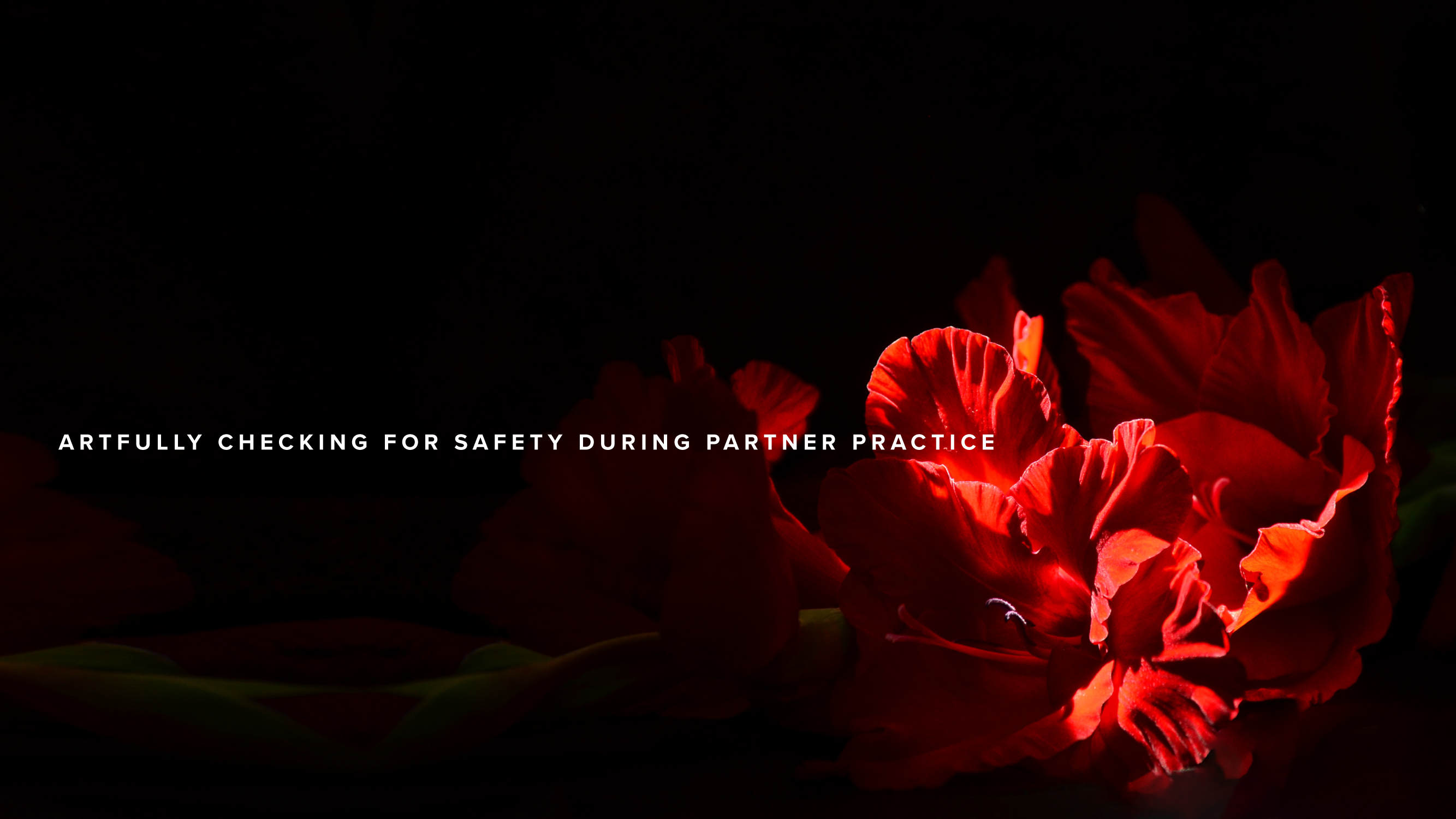 Artfully checking for safety during partner practice