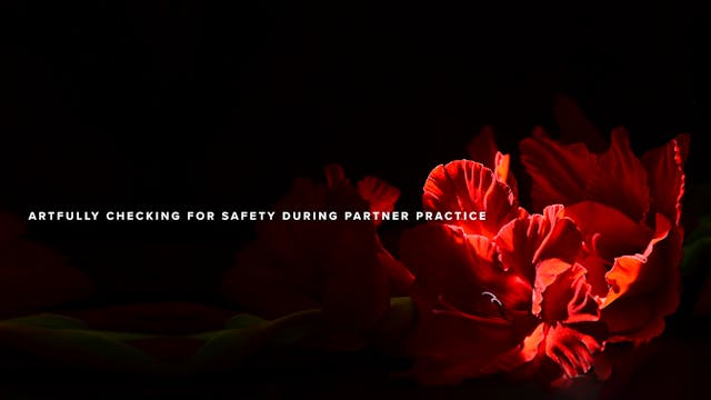 Artfully checking for safety during p...