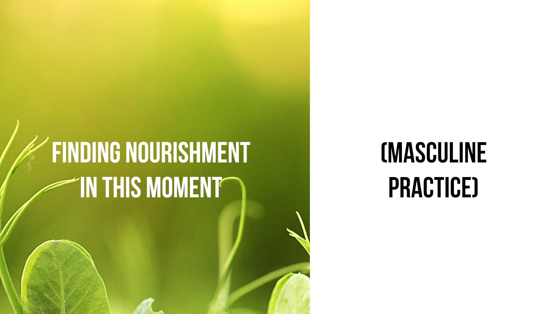 Practice - Finding Nourishment in This Moment