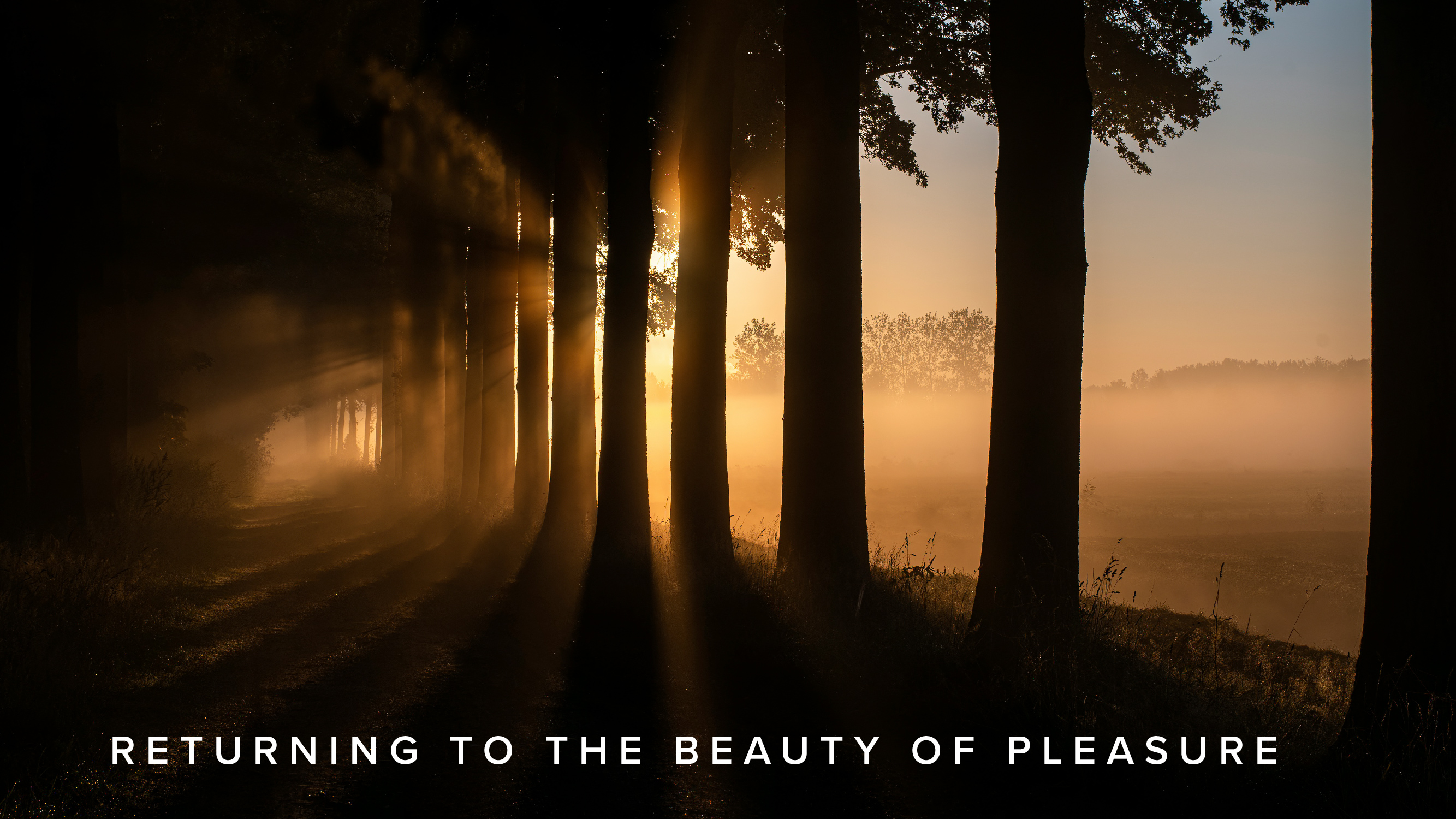 Practice - Returning to The Beauty of Pleasure