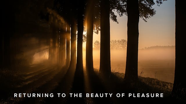 Returning to The Beauty of Pleasure