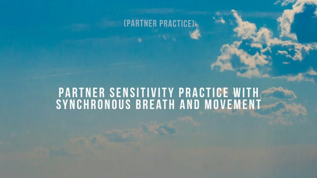 Practice - Partner Sensitivity Practi...