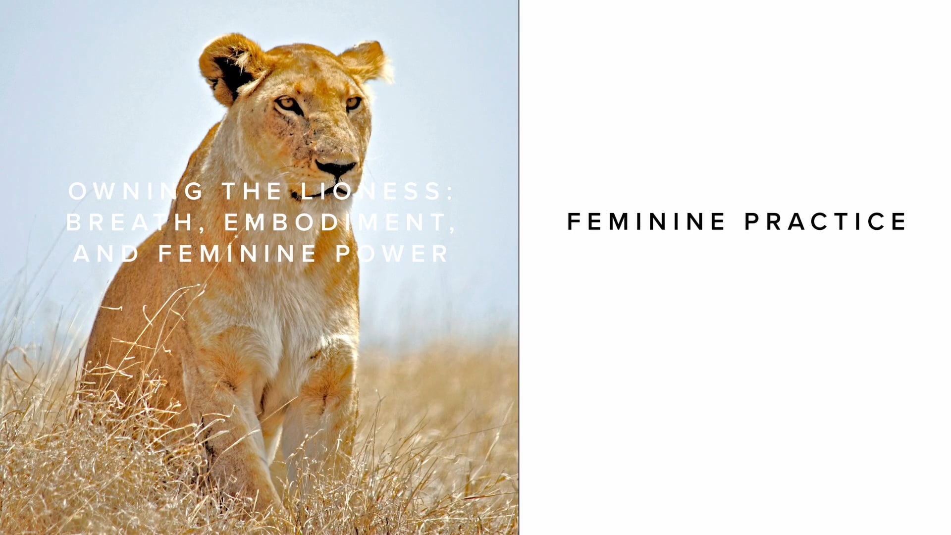 Practice - Owning the Lioness: Breath, Embodiment, and Feminine Power
