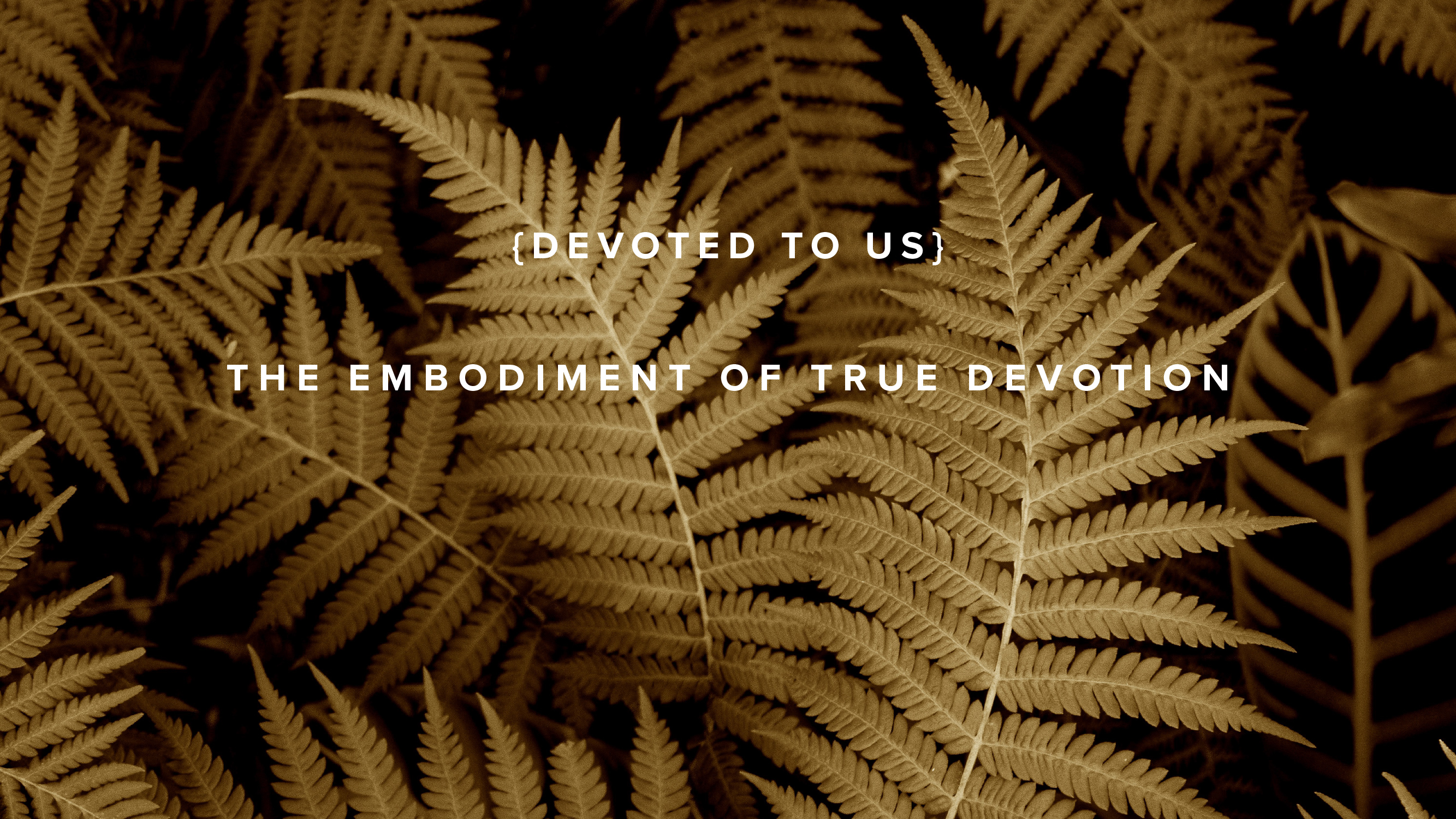 Devoted to Us