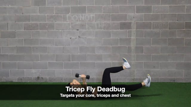 Tricep fly Deadbug