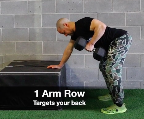 1 Arm Row