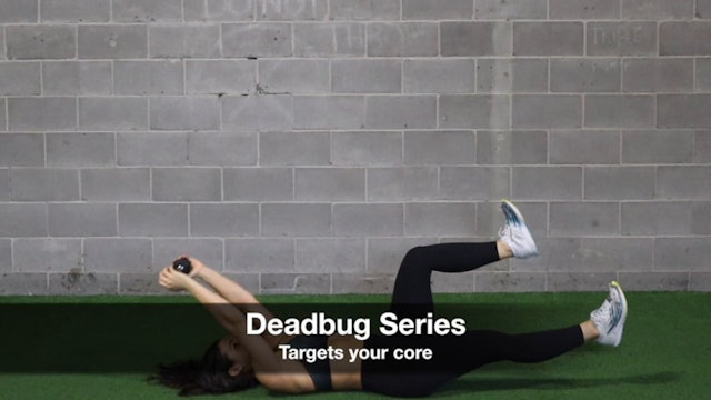 Deadbug Series