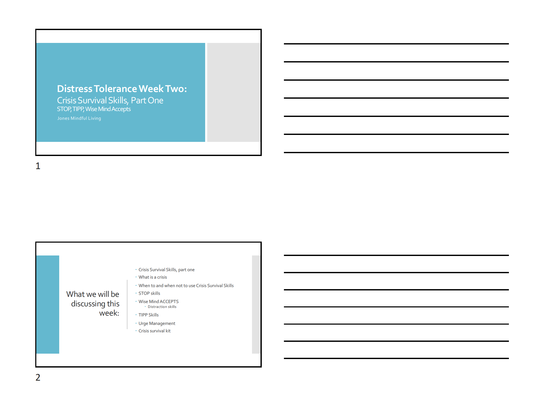 Distress Tolerance 2 PDF (3-slides-per-page)