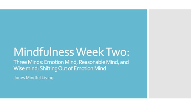 Mindfulness Week Two: Mind States Presentation
