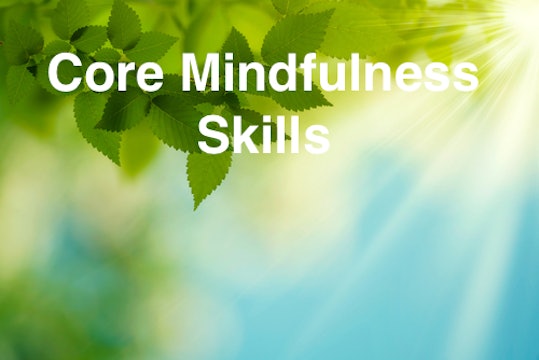 Core Mindfulness Skills