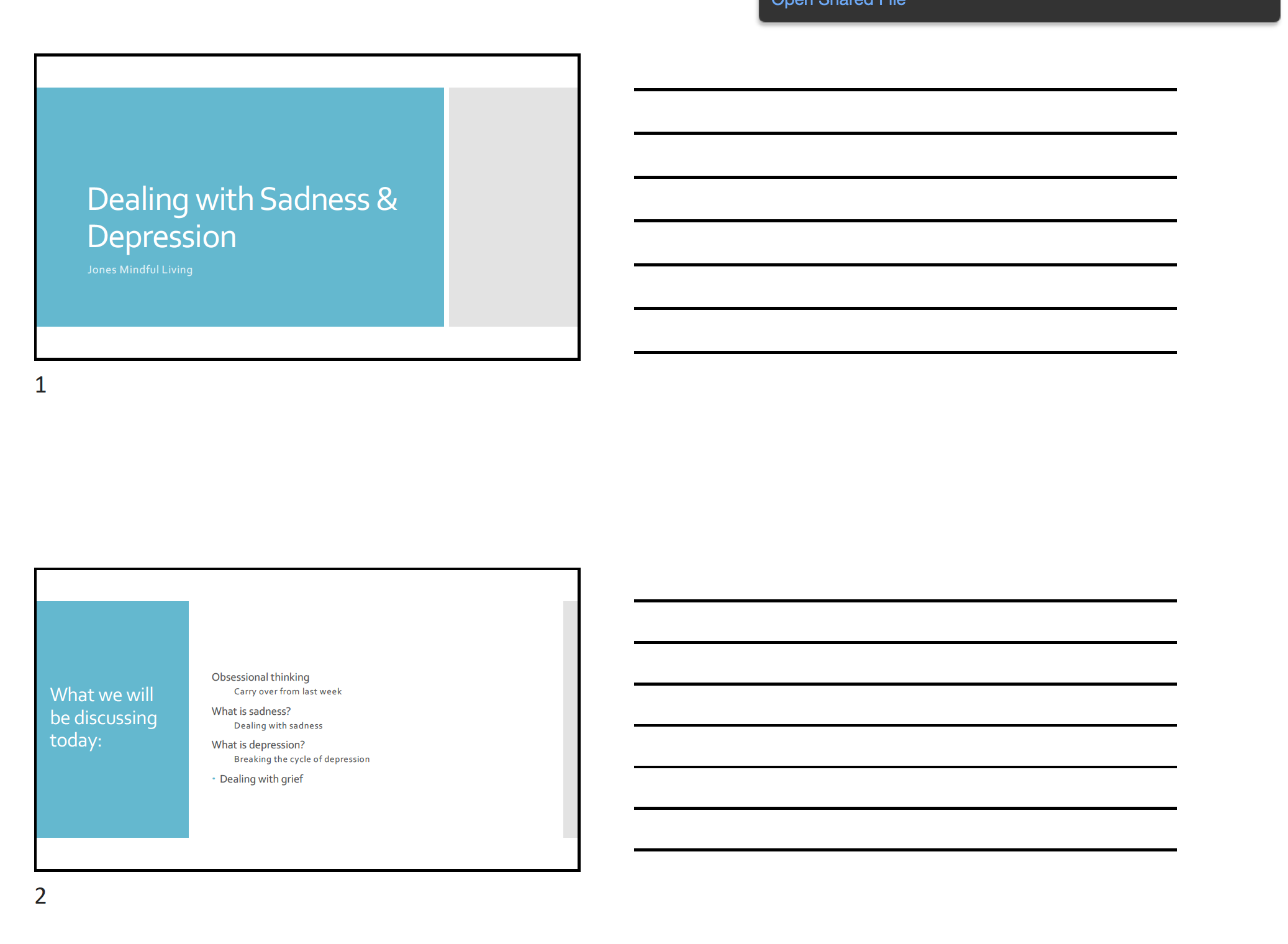 Sadness and Depression Presentation (3-Slides-per-page) PDF