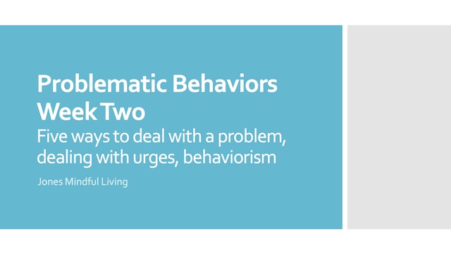 Problematic Behaviors Week Two PDF