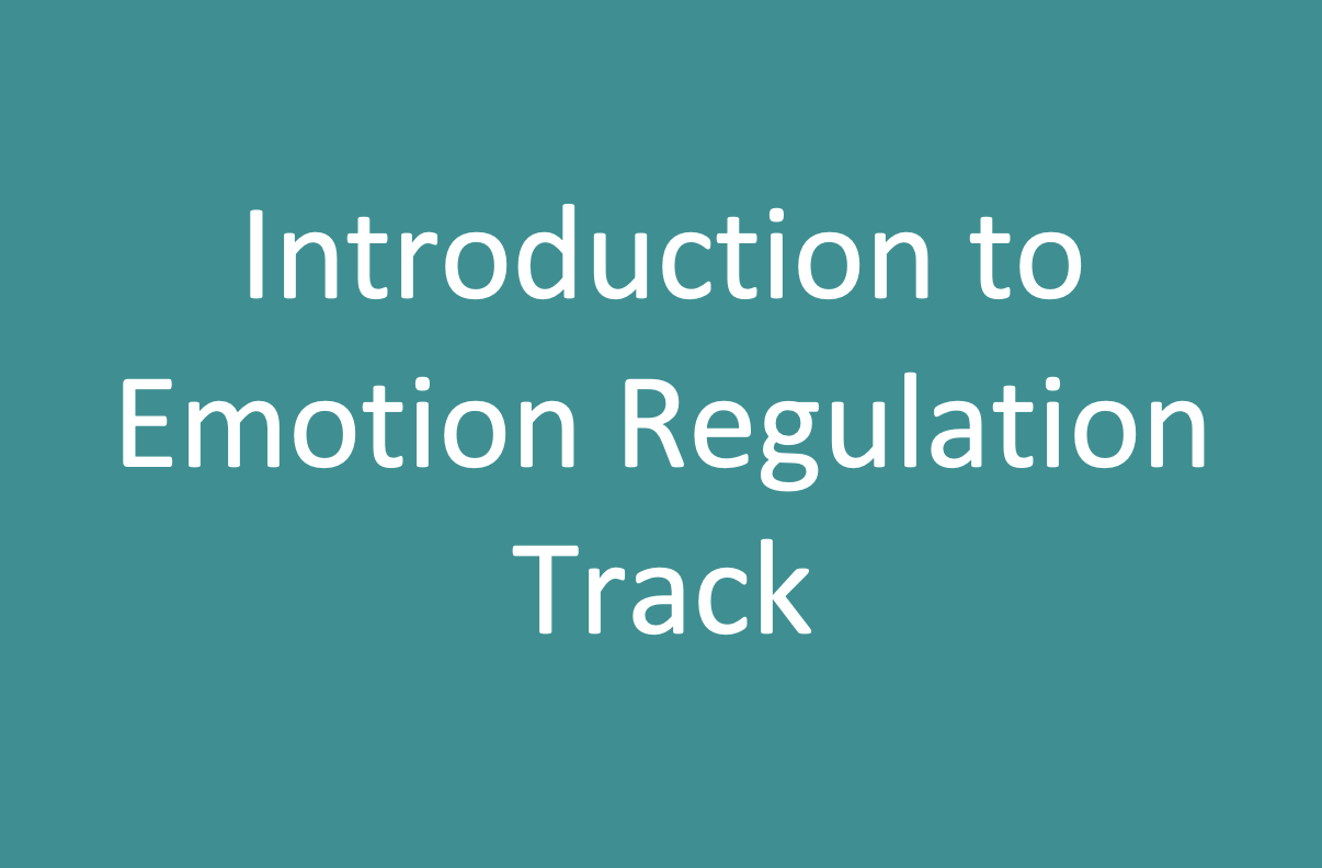 Introduction to Emotion Regulation Module