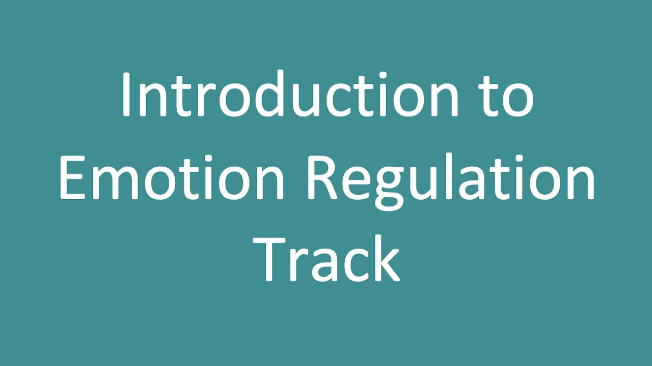 Introduction to Emotion Regulation Module