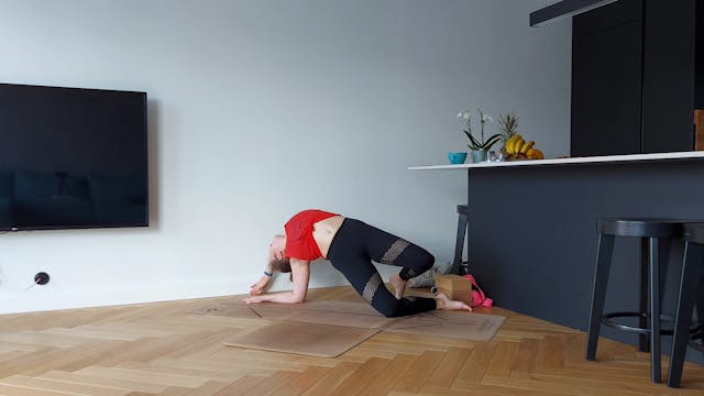 VinyasaFlow - mini wild-thing (60 min)