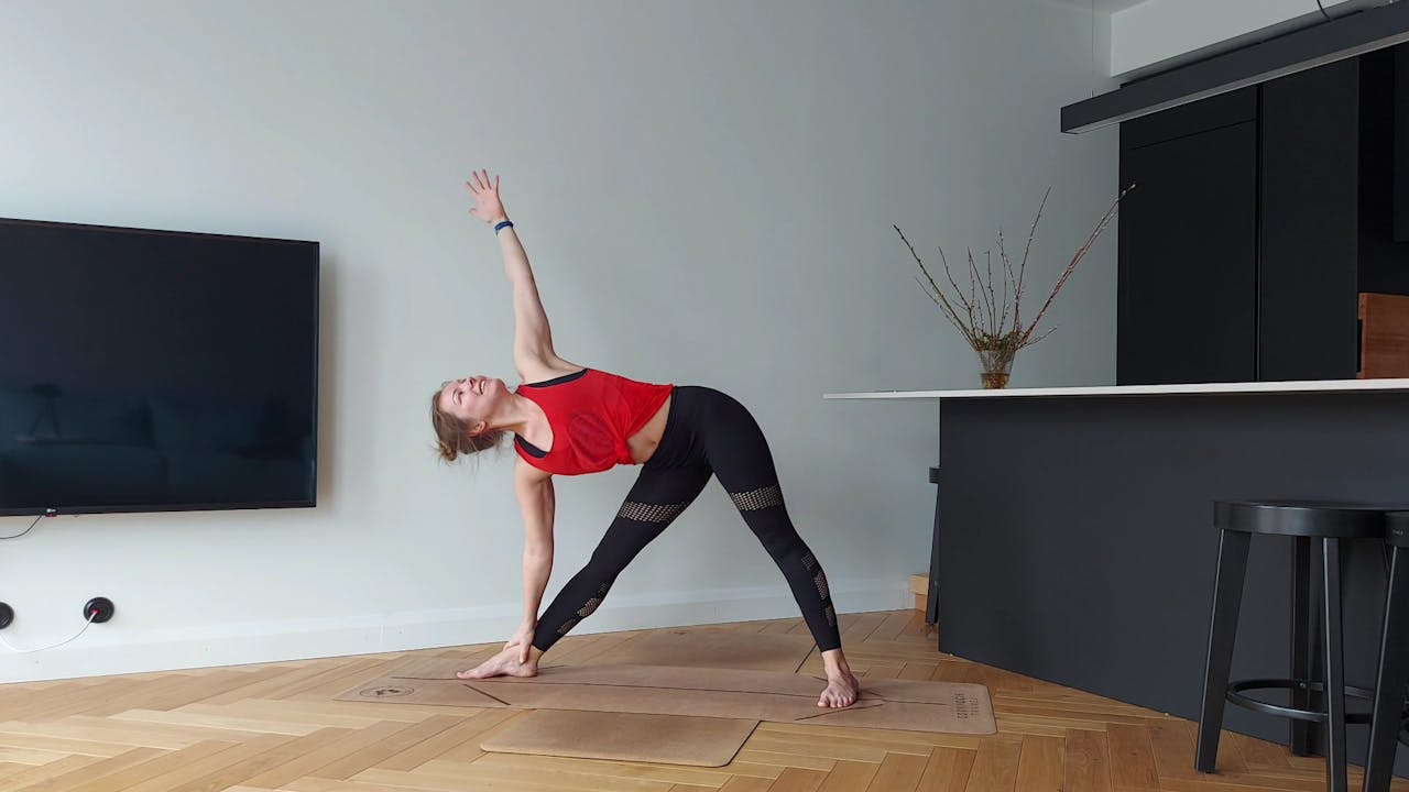 Ashtangasutsakas (30 min)