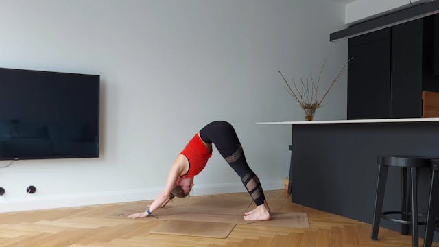 Ashtangasutsakas (30 min)