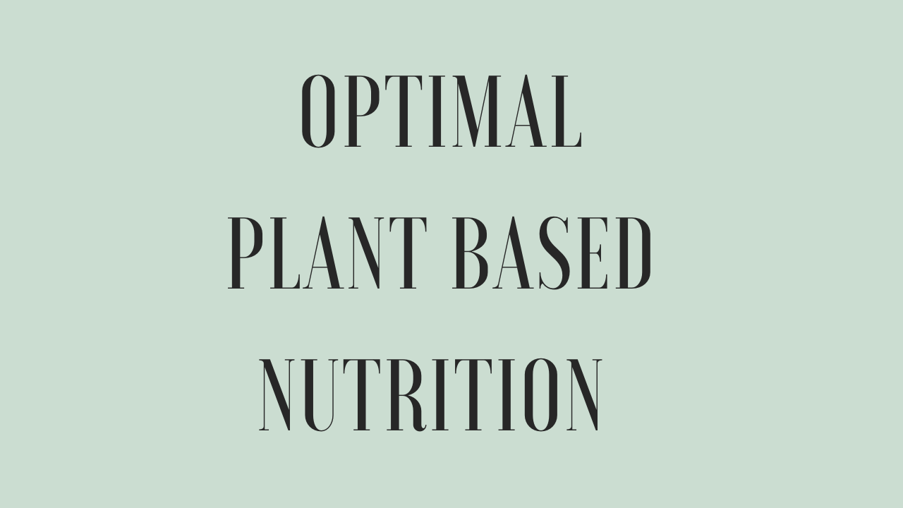 Optimal Plant Based Nutrition