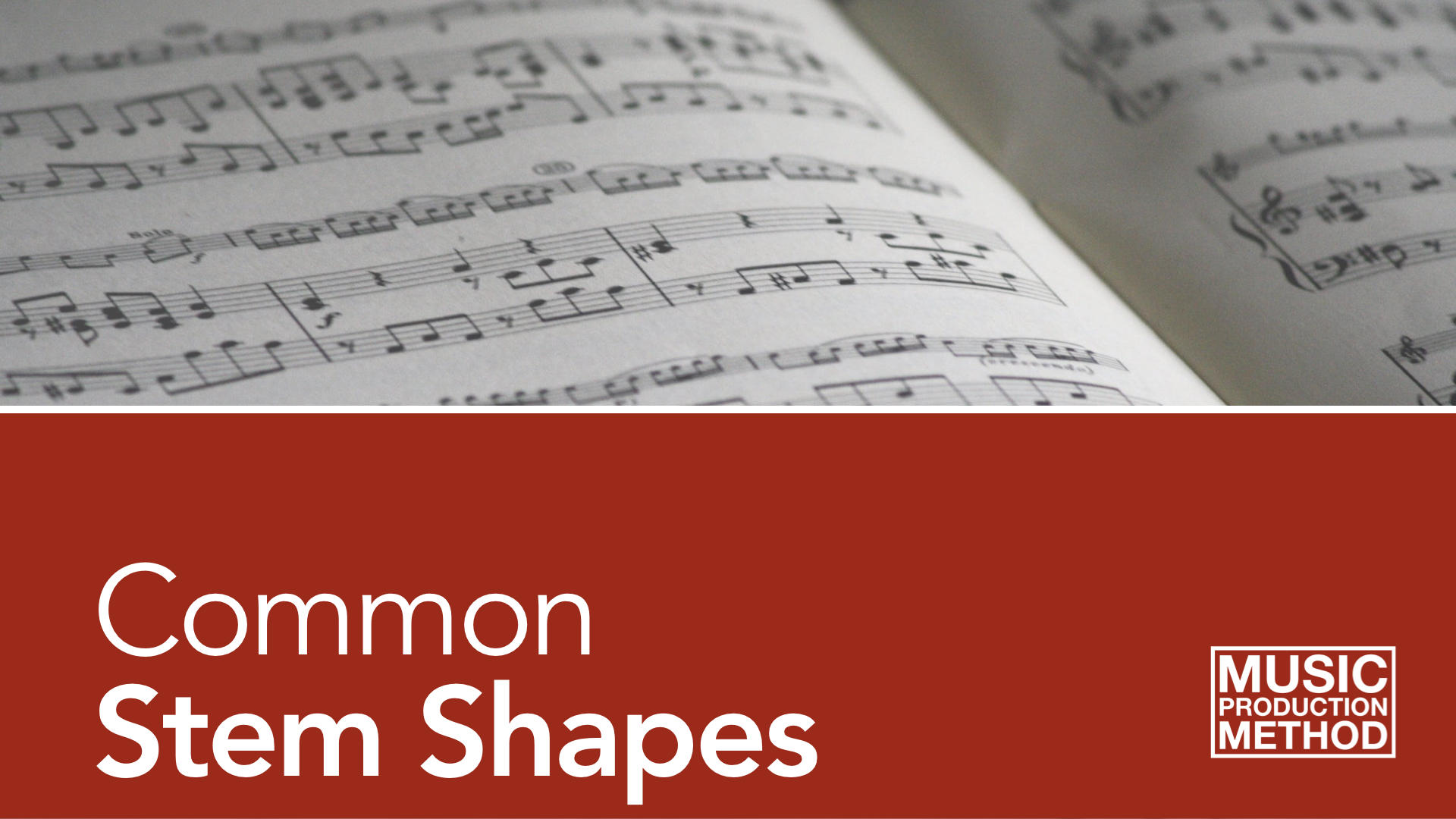 3-3. Common Stem Shapes