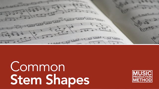 3-3. Common Stem Shapes